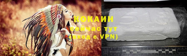 сатива Армянск