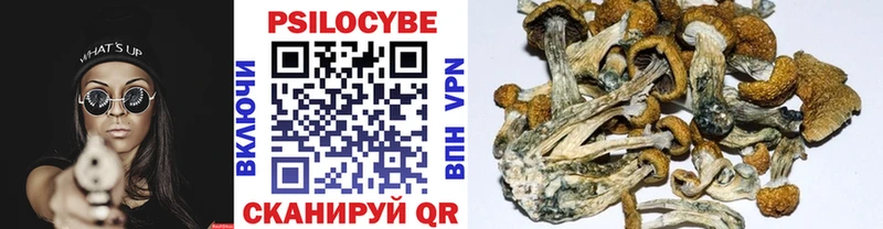 Псилоцибиновые грибы мицелий  наркотики  Тутаев 